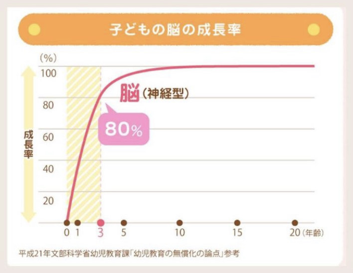 子どもの脳の成長率